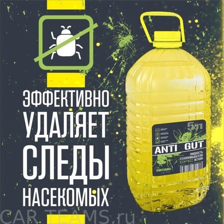 жидкость стеклоомывателя летняя ANTI GUT Carteams 5л